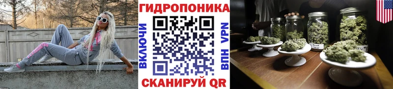 сколько стоит  Искитим  Бошки марихуана Amnesia 